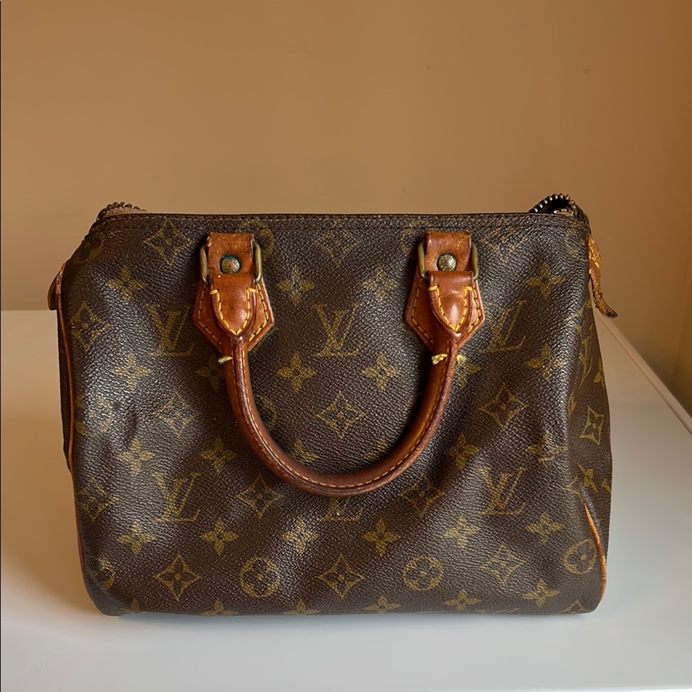 Louis Vuitton Classic Monogram Satchel